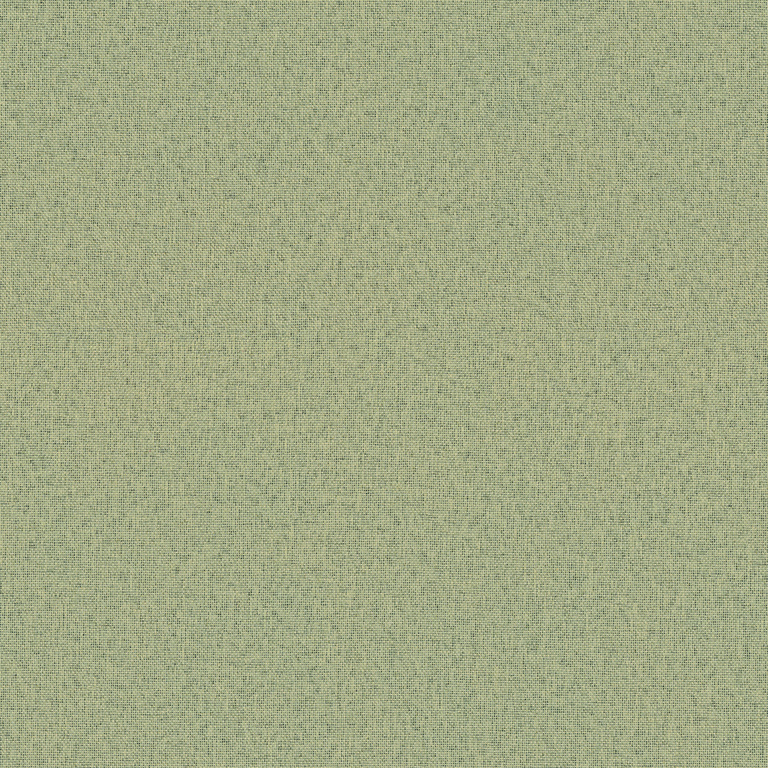 Blackout Softy 269-23 green